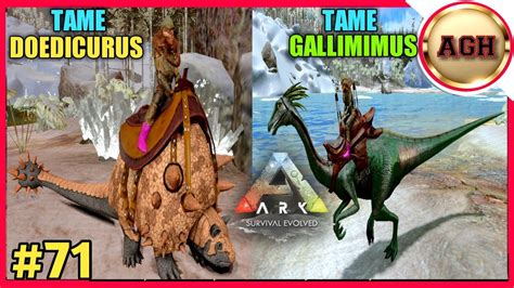 How To Tame Doedicurus 🐢 And Gallimimus 🦖 Ark Survival Evolved Gameplay 71 Youtube