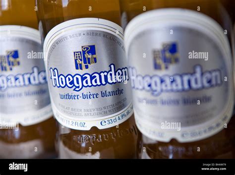 Belgian hoegaarden beer in bottles hi-res stock photography and images - Alamy