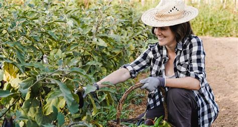 Eveniment Pentru Angajatorii I Studen Ii Din Domeniul Agricol Va Fi