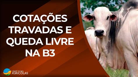 Desafios no mercado do boi gordo Cotações travadas e queda livre na B3