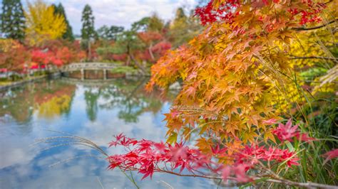 Wallpaper Photography Trey Ratcliff Landscape Garden Trees Fall