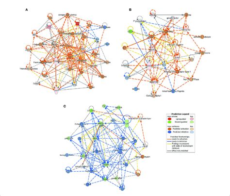 Causal Network Analysis Obtained At Ingenuity Pathway Analysis Of