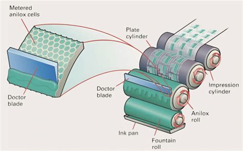 Comprehensive Overview of Flexography