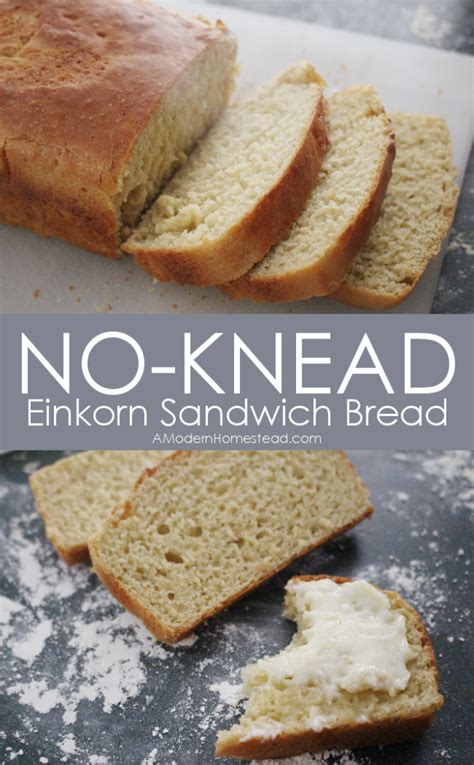 No Knead Einkorn Sandwich Bread Artofit