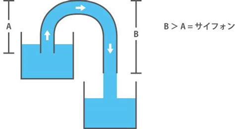 サイフォン アクアリウムwiki