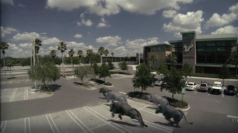 USF BULLS MASCOT MADNESS | Riley Animation Studios