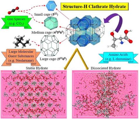 Molecular Dynamics Simulations Of The Stability And Dissociation Of