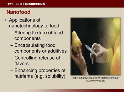 Ppt Applications Of Nanotechnology In The Food Industry Powerpoint