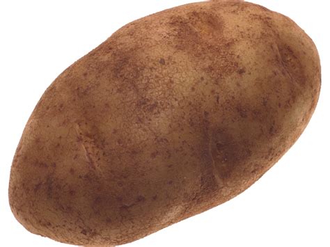 Potato Png Transparent Image