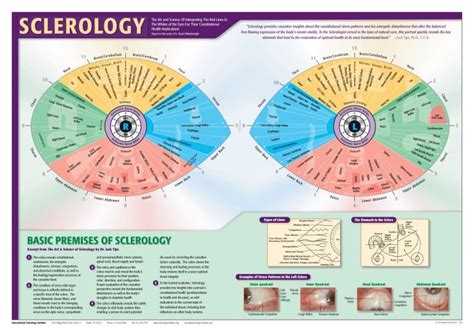 How To Read Iridology Eye Charts Maikong Iridology Cameras And Iriscope