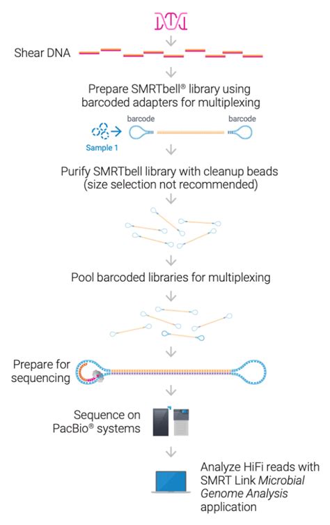 Faster And More Affordable Sequencing With The Hifi Microbial High