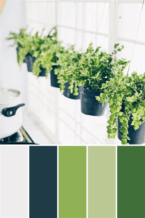 Potted Plant Color Palettes This Growing Home Plants Decor Color