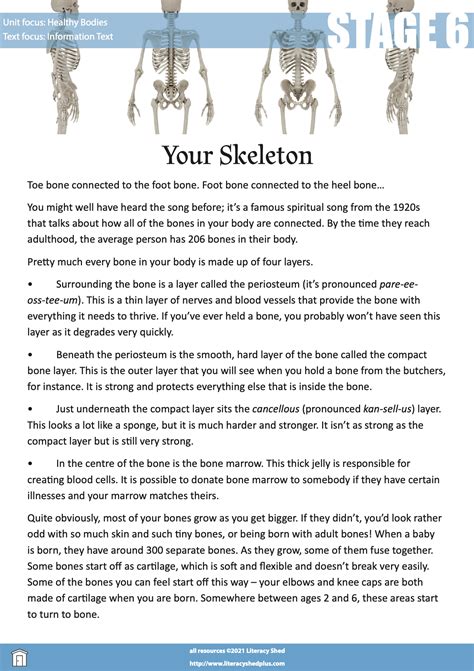 Skeleton Reading Comprehension Worksheet