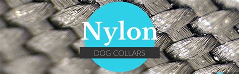 LARGE DOG COLLAR REVIEW | NYLON, LEATHER & LUXURY DOG COLLARS – BIG DOG CHAINS