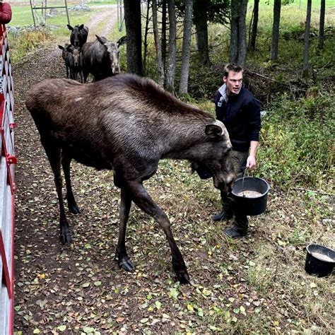 Tyska turister hittade tillbaka efter pandemin bra sommar för