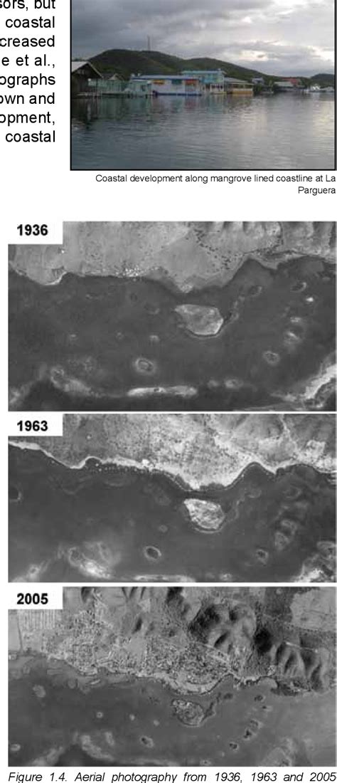 Figure From Coral Reef Ecosystems Of Reserva Natural De La Parguera