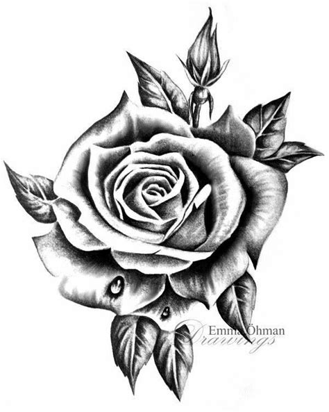 Pin By Diego Pinto On Tattoo Rose Drawing Tattoo Rose Flower Tattoos