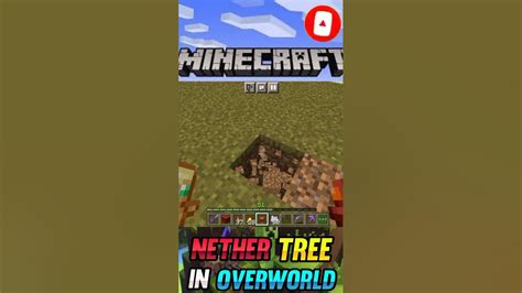 How To Grow Nether Trees In Overworld Minecraft Pe Trick Tamil