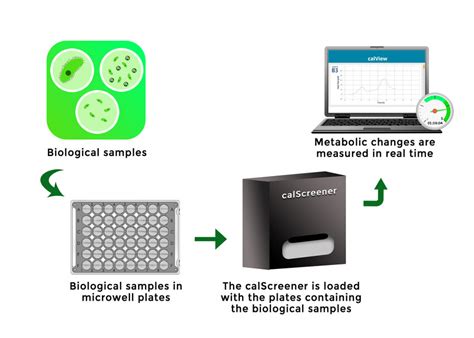 Schematic Framework Of The Isothermal Microcalorimetry Calscreener In