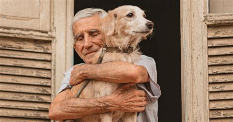 Fot Grafa Registra Adorables Momentos De Un Anciano Y Su Perro