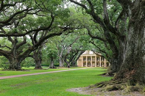 3 Unforgettable New Orleans Plantations to Visit Along the Great River ...