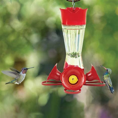 Perky Pet Our Best Red Base Glass Hummingbird Feeder 30 Oz Capacity