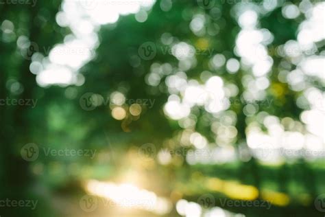 Out Of Focus Background Stock Photos, Images and Backgrounds for Free ...