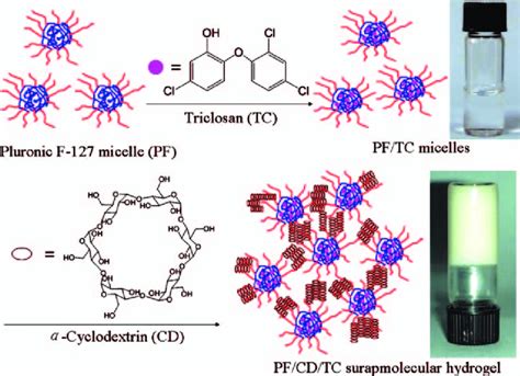 Scheme 1 The Preparation Of Pfcdtc Supramolecular Hydrogel