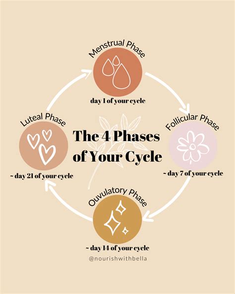 How To Optimize Your Life With Your Cycle — Nourish With Bella