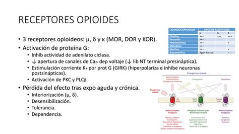 Neurobiología De Las Adicción A Opioidespptx