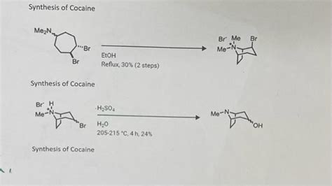 Solved Synthesis of Cocaine Synthesis of Cocaine Synthesis | Chegg.com