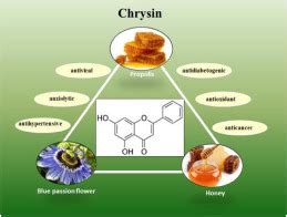 Chrysin Sources Beneficial Pharmacological Activities And Molecular