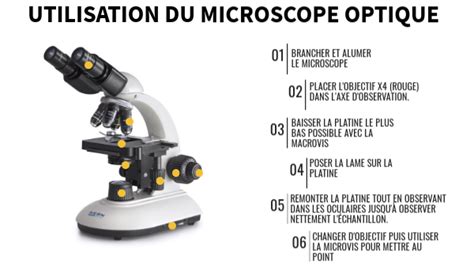 Utilisation Microscope