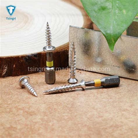 Tgr Tsingri Stainless Steel Ss Torx Pan Oval Head Double Cutting