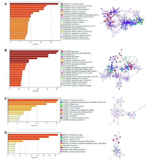 Gene Ontology GO Term And Kyoto Encyclopedia Of Genes And Genomes