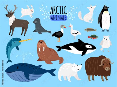 Arctic animals. Cute animal set of Arctic or Alaska vector illustration ...