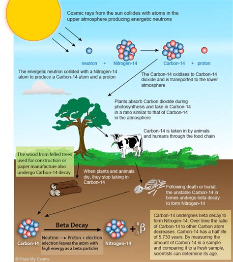 What Is Carbon Dating Civilsdaily