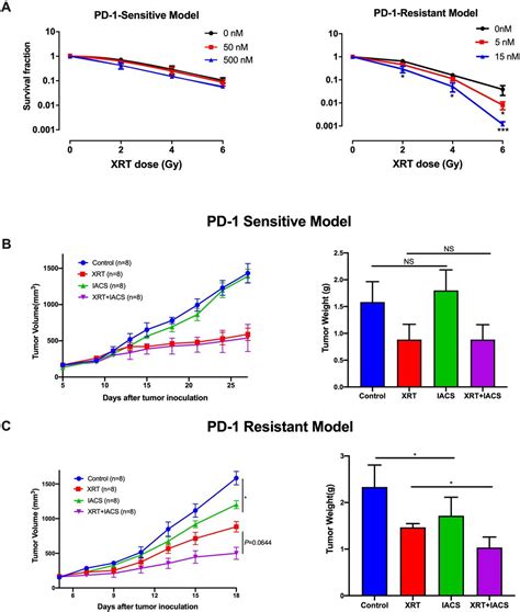 Combination Treatment With Radiotherapy And A Novel Oxidative