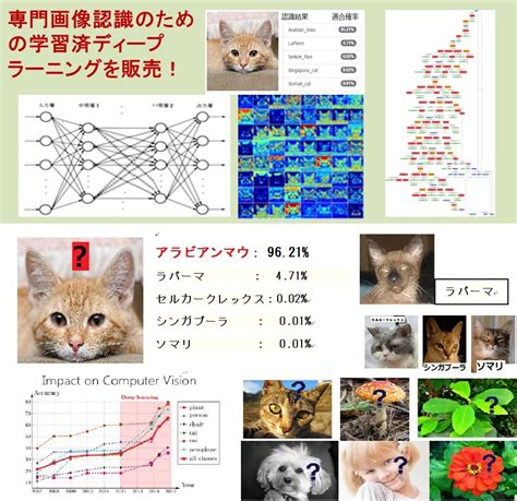 メタデータ、専門画像認識のための学習済ディープラーニングdlシステムを提供開始 Cnet Japan