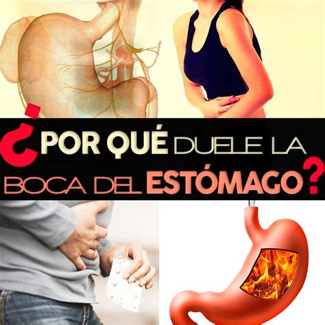 O'que Pode Ser Dor Na Boca Do Estômago - Dor Na Boca Do Estômago: 12 Causas E O Que Fazer – MVFG