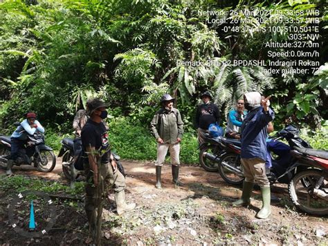 KLHK Rehabilitasi Hutan Dan Lahan Di Tesso Nilo CAKRAWALATODAY