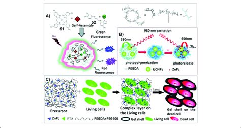 A The Multi Photoresponsive Supramolecular Hydrogel Containing Four