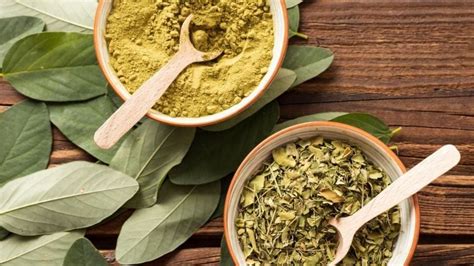 Qu Es Y Para Qu Sirve La Moringa Estos Son Sus Efectos Y Beneficios