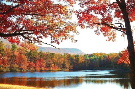 For Stunning Fall Colors Check Out Northern Alabama Fall Colors