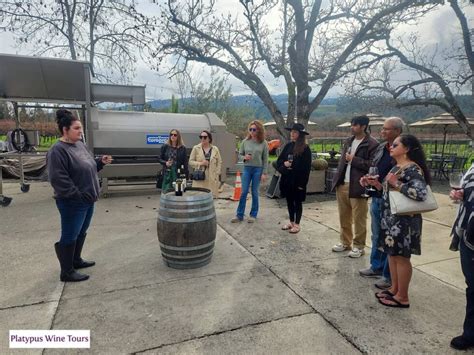 Best Sonoma Wineries for Guided Tours - Platypus Wine Tours