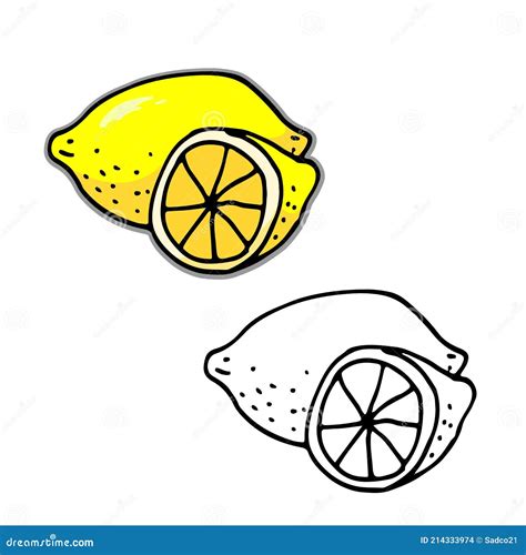 Hand Drawn Lemon Doodle Stock Vector Illustration Of Flat