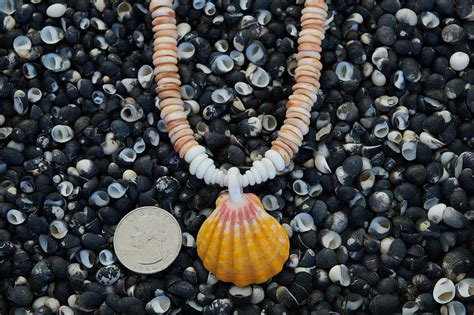 1014 Hawaiian Sea Shell Lei Sunrise Shells Hawaii