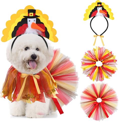 Best Dog Thanksgiving Costumes for Turkey Day.