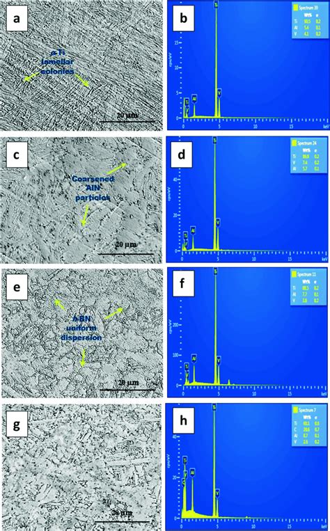 Representative Sem A C E And G And Edx B D F And G Micrographs