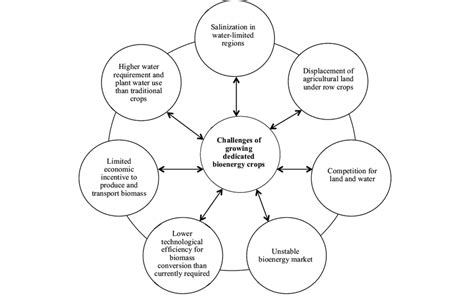 Challenges of growing dedicated bioenergy crops. | Download Scientific ...